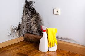 Best Residential Mold Inspection & Testing  in Rahway, NJ